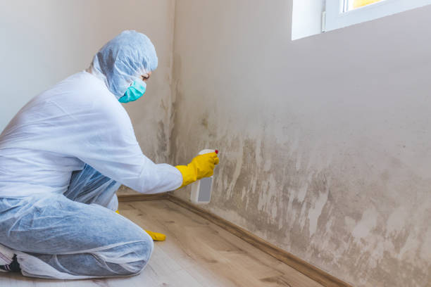 Commercial Mold Remediation assessment for commercial property in Fischer